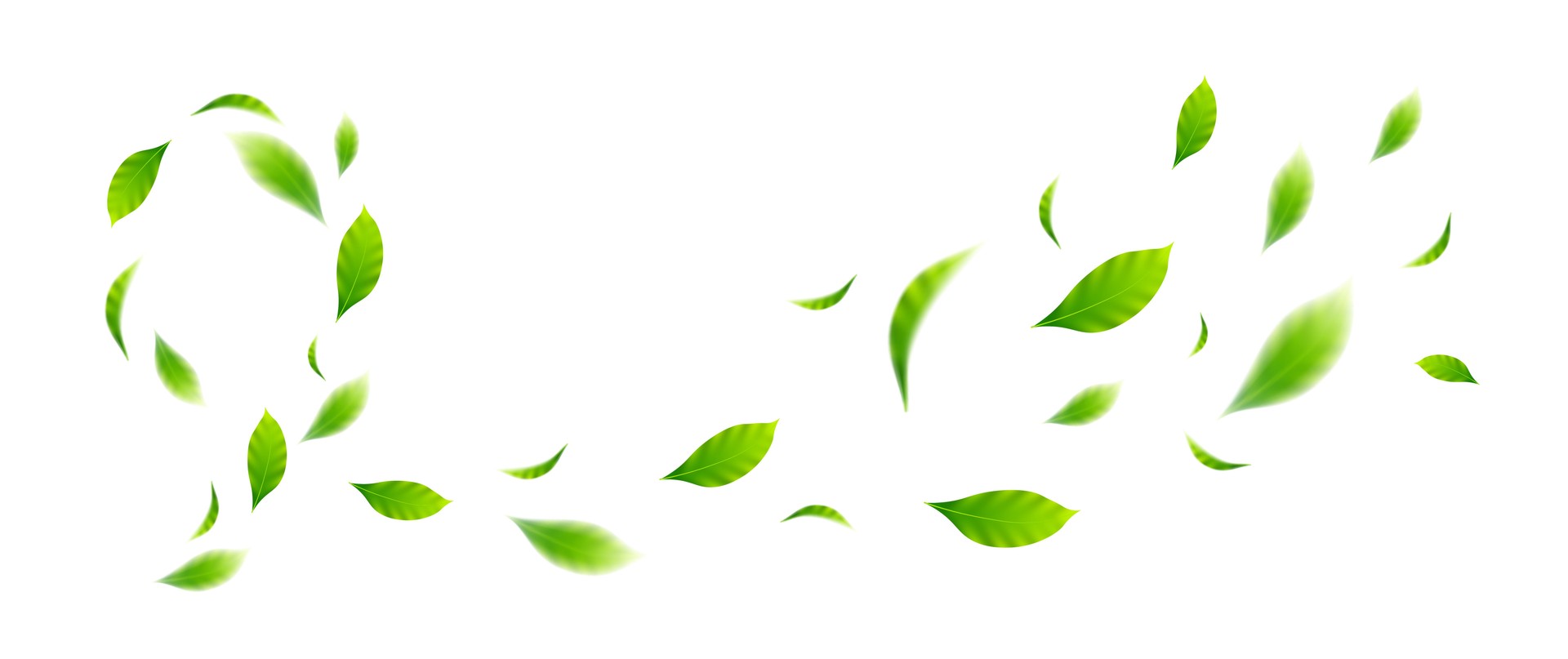 flying leaves on white background for design elements